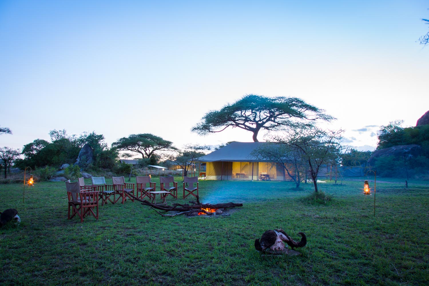 Kisura Serengeti Tented Camp, Get the true flavours of wilderness and  experience an awe-inspiring trip that you can truly cherish for a lifetime  at the Kisura Serengeti Camp