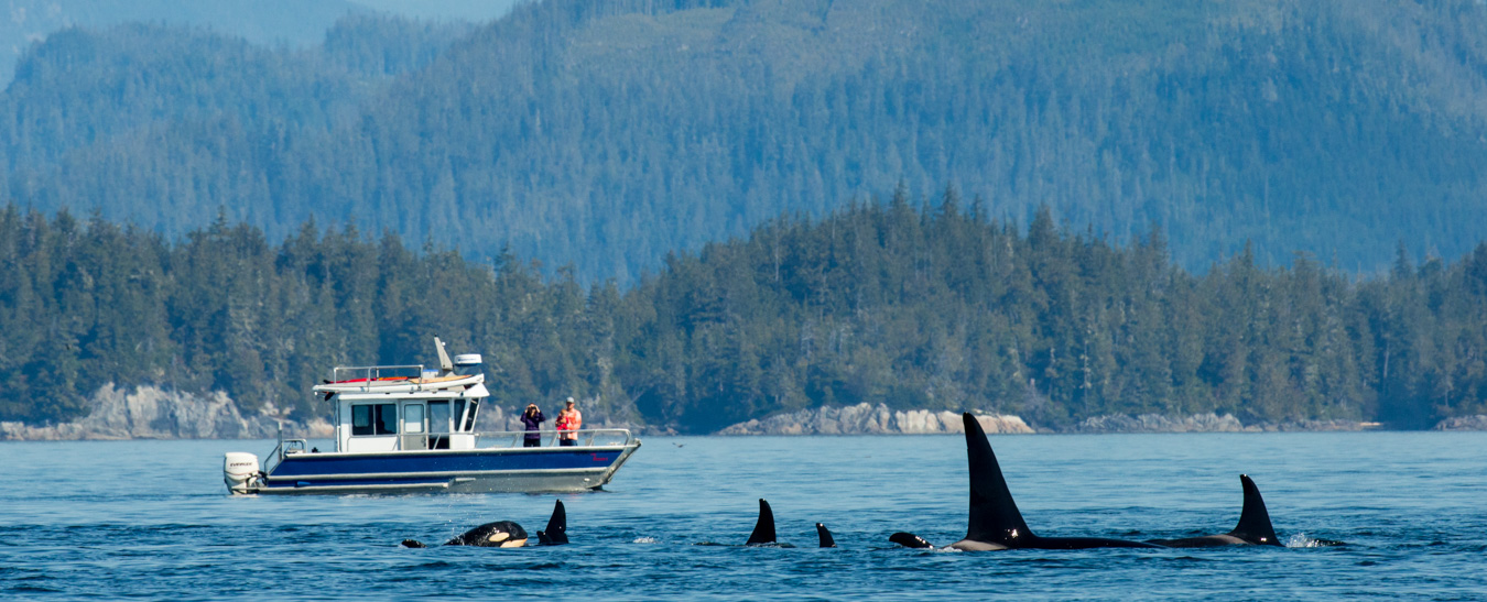 Nimmo Bay Wilderness Resort In British Columbia, Canada | Glamping.com