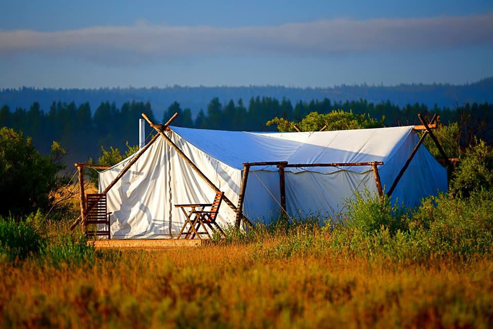 under canvas yellowstone photos